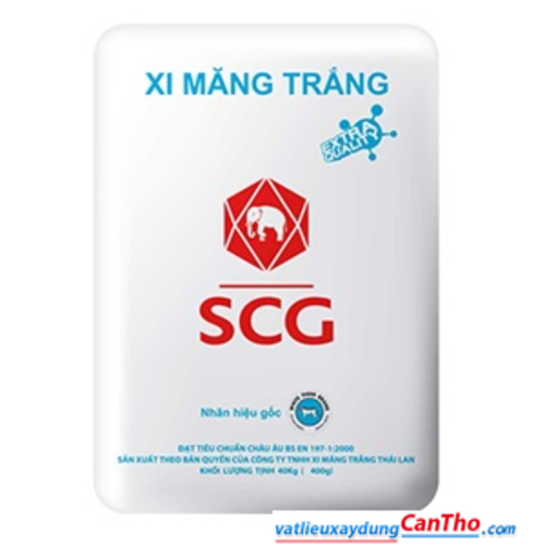 Xi Măng Trắng SCG PCW 30