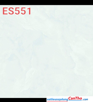 ES 551