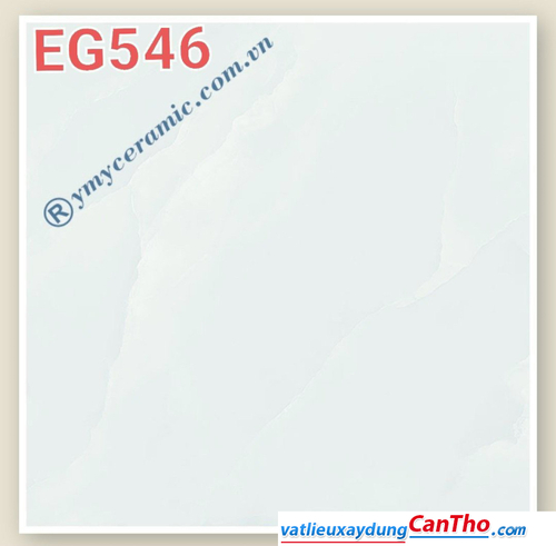 EG546