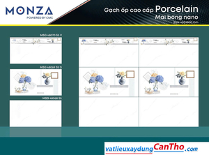 TOP ONE MSG-48068-48069-48070