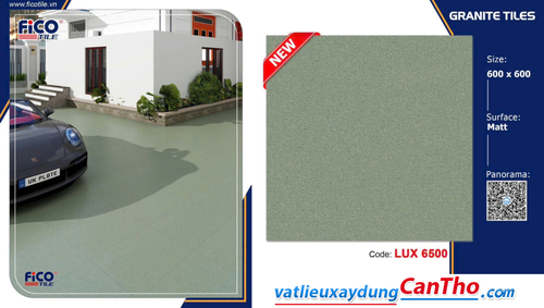 Fico Lux 6500