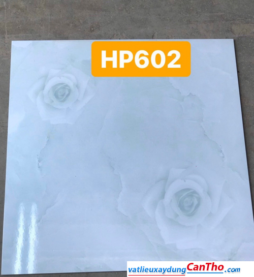 Gạch 60 PAK HP602