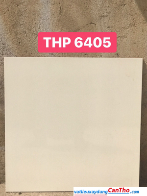 Gạch 60 PAK THP6805