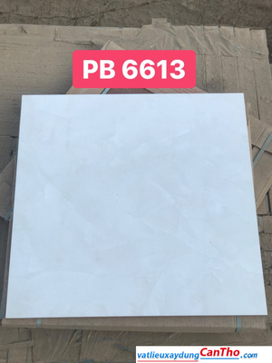 Gạch 60 PAK PB6613