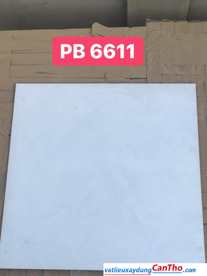 Gạch 60 PAK PB6611