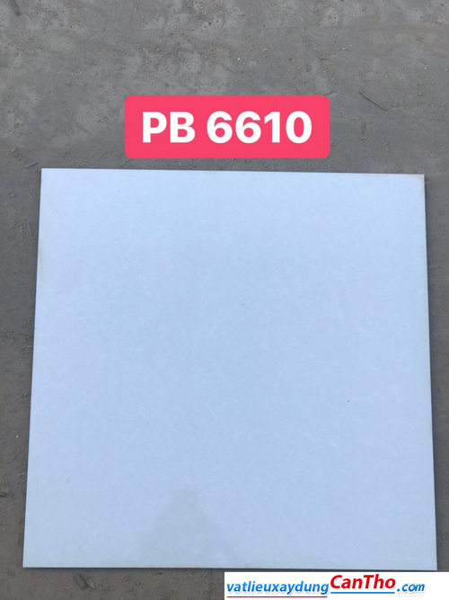 Gạch 60 PAK PB6610