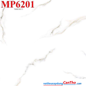 MP6201